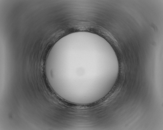 X0000113160073200909041002