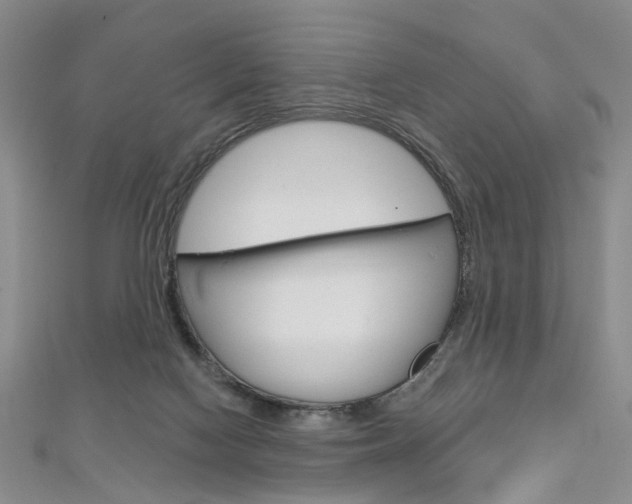X0000113160074200909041002
