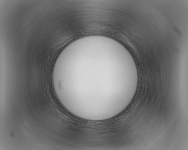 X0000113160076200909041002