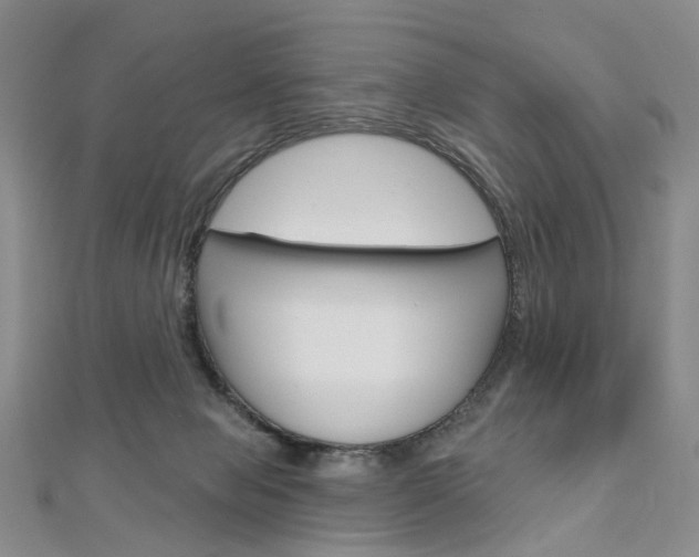 X0000113160077200909041002