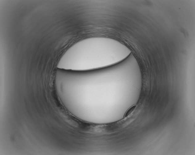 X0000113160078200909041002