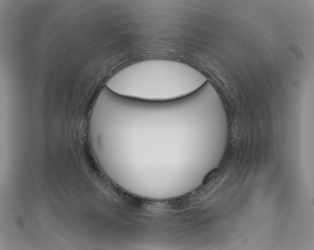 X0000113160079200909041002