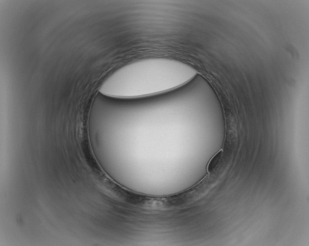 X0000113160080200909041002
