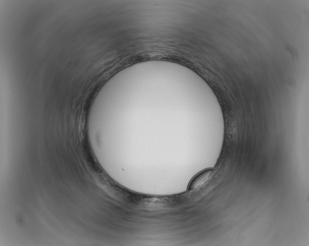 X0000113160082200909041002