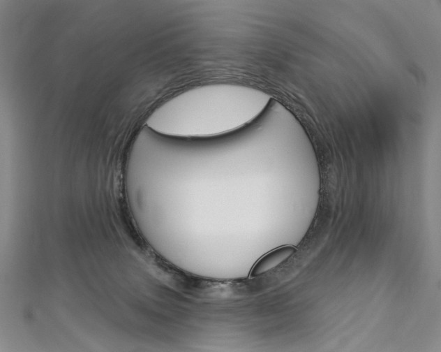 X0000113160083200909041002