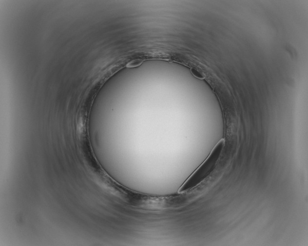 X0000113160084200909041002