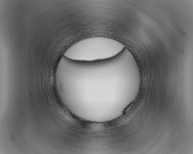 X0000113160085200909041002