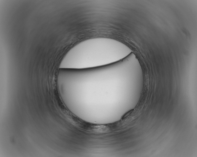 X0000113160087200909041002