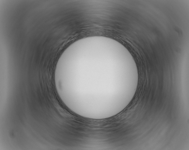 X0000113160088200909041002