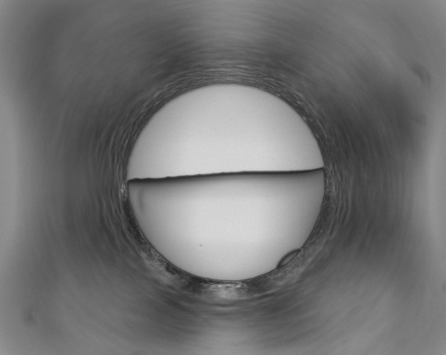 X0000113160089200909041002