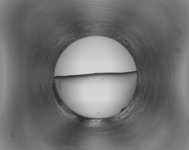 X0000113160090200909041002