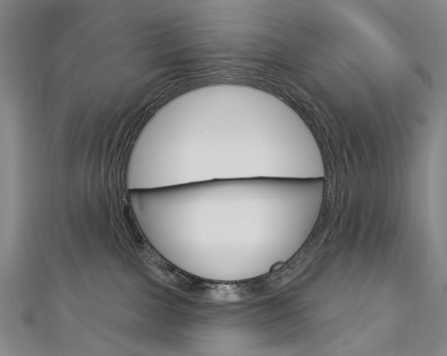 X0000113160091200909041002