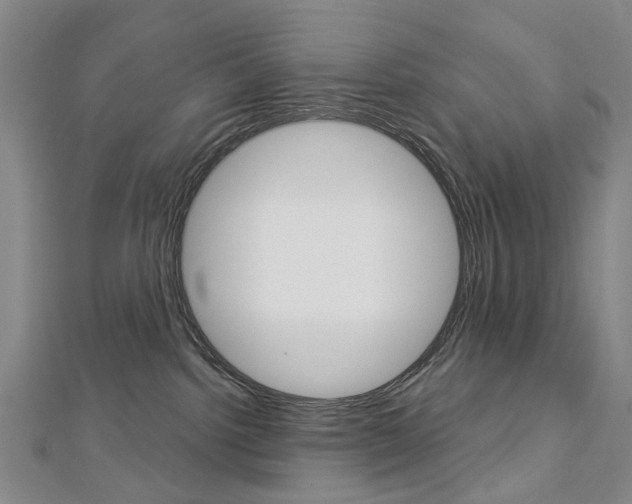 X0000113160092200909041002