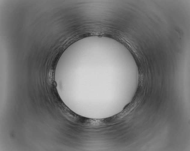 X0000113160093200909041002