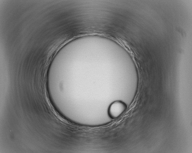 X0000113160097200909041001