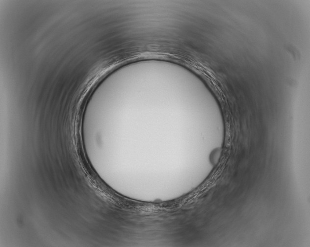 X0000113160098200909041001