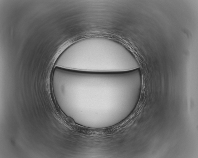 X0000113160099200909041001