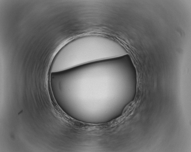 X0000113160100200909041001