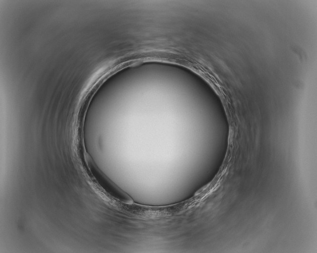 X0000113160101200909041001