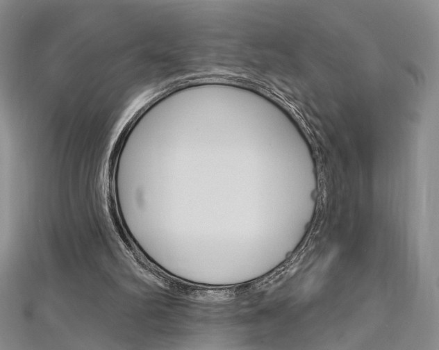 X0000113160102200909041001