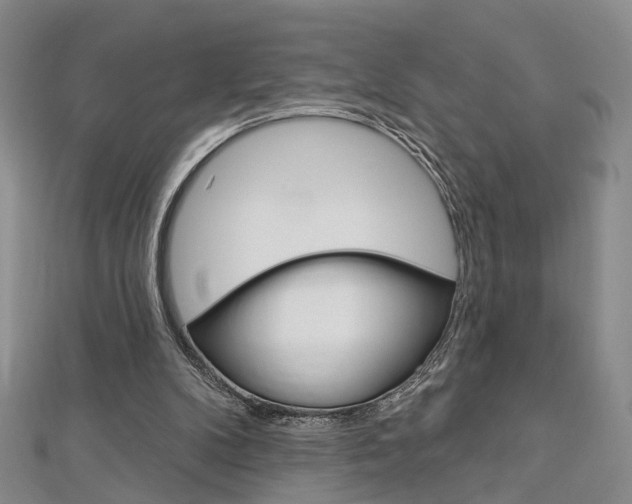 X0000113160104200909041001