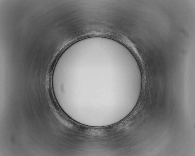 X0000113160106200909041001