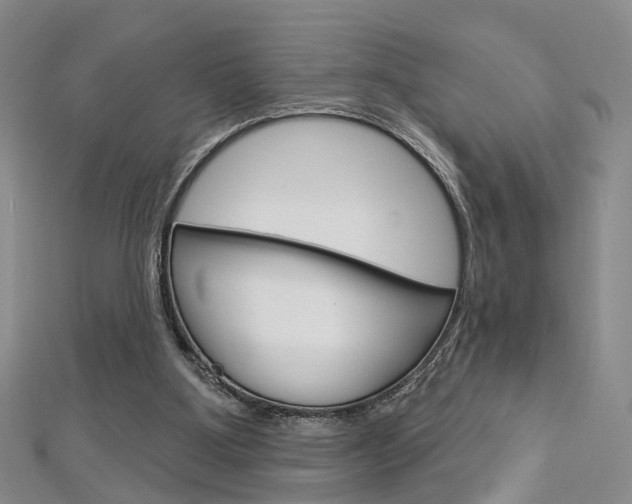 X0000113160107200909041001
