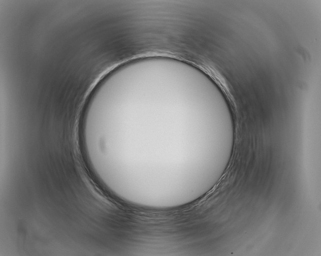 X0000113160108200909041001