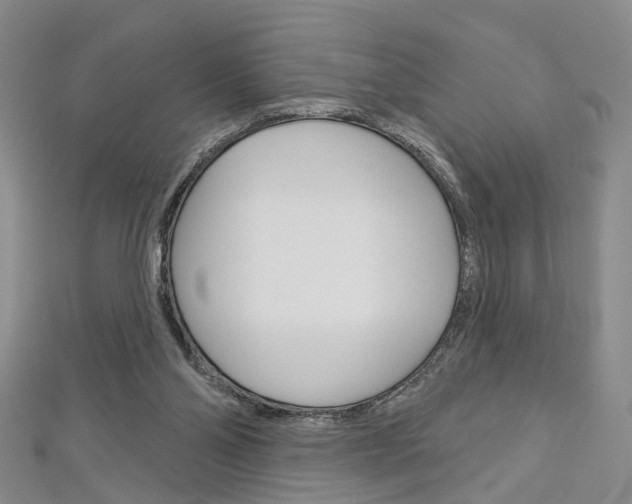 X0000113160110200909041001