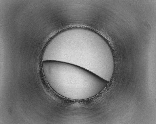 X0000113160111200909041001
