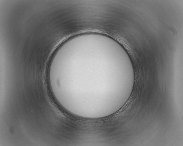 X0000113160112200909041001