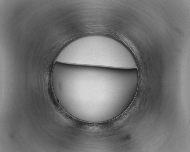 X0000113160113200909041001