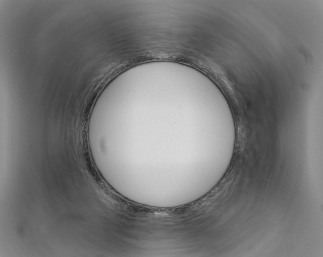 X0000113160114200909041001