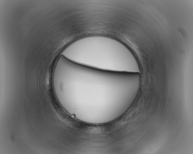 X0000113160115200909041001