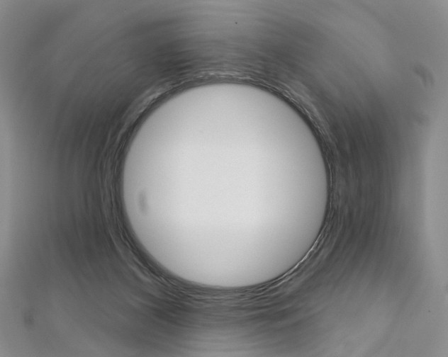 X0000113160116200909041001