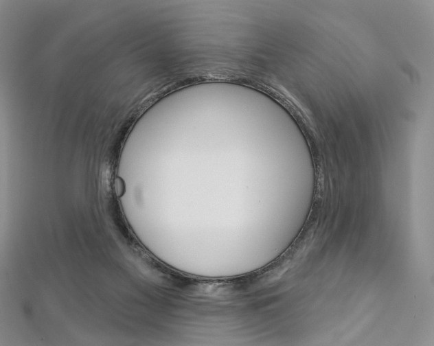 X0000113160117200909041001