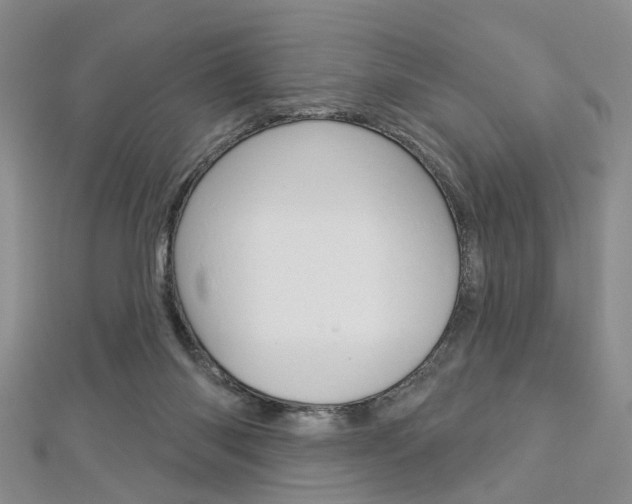 X0000113160118200909041001