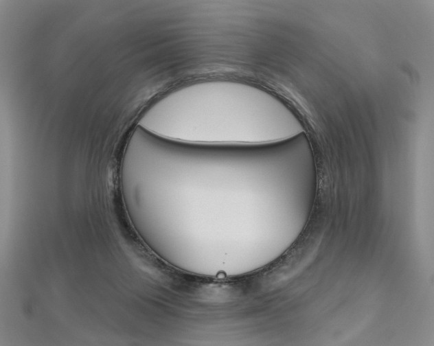 X0000113160119200909041001