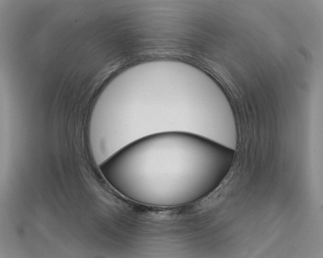 X0000113160120200909041001