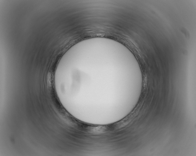 X0000113160122200909041001