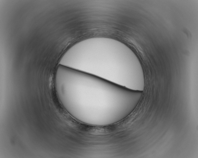 X0000113160123200909041001