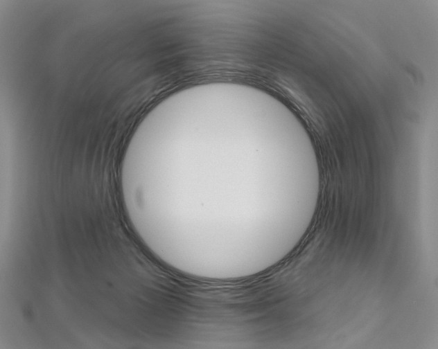 X0000113160125200909041001