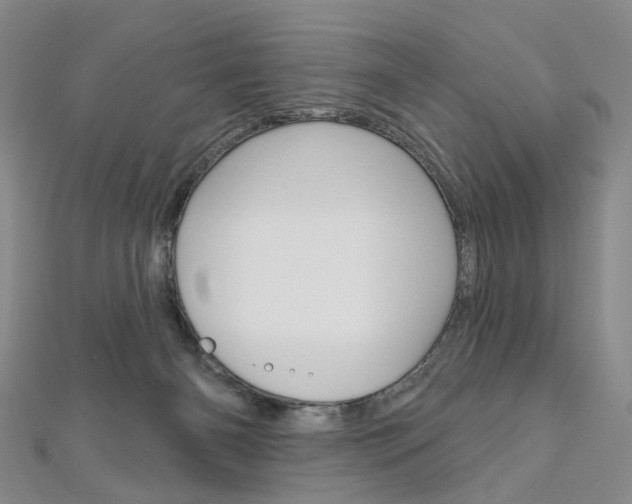 X0000113160126200909041001