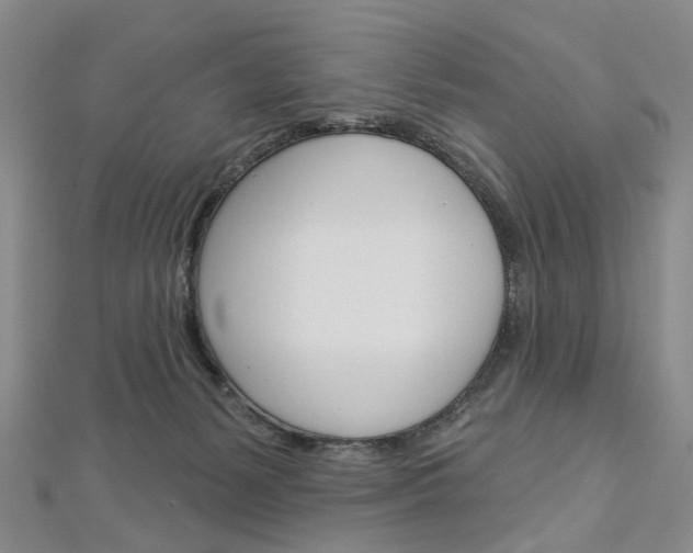 X0000113160127200909041001