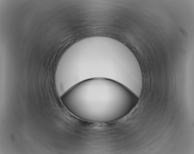 X0000113160128200909041001