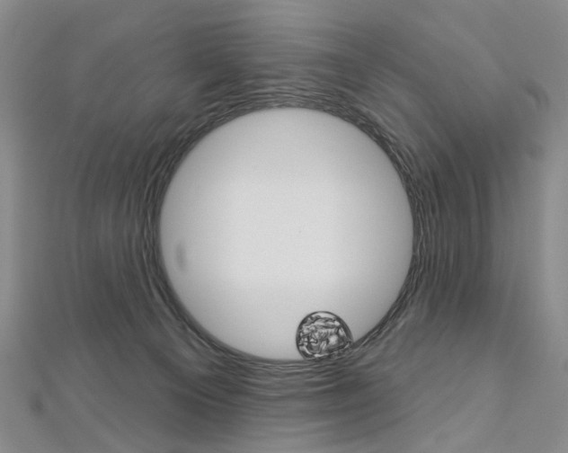 X0000113160129200909041001