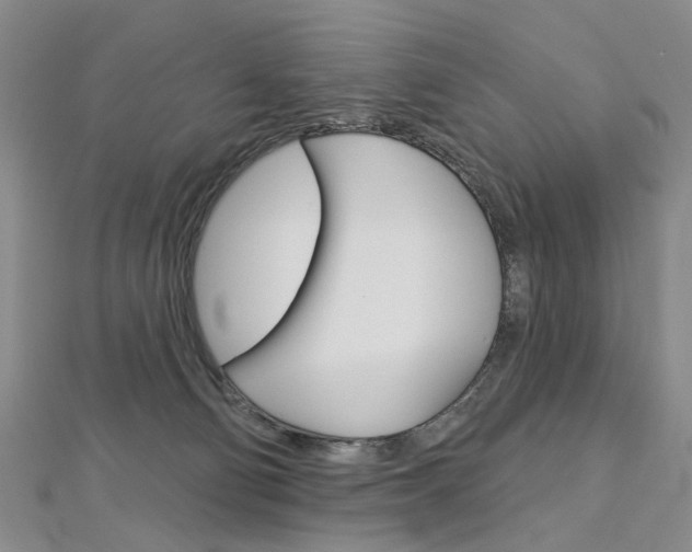 X0000113160130200909041001