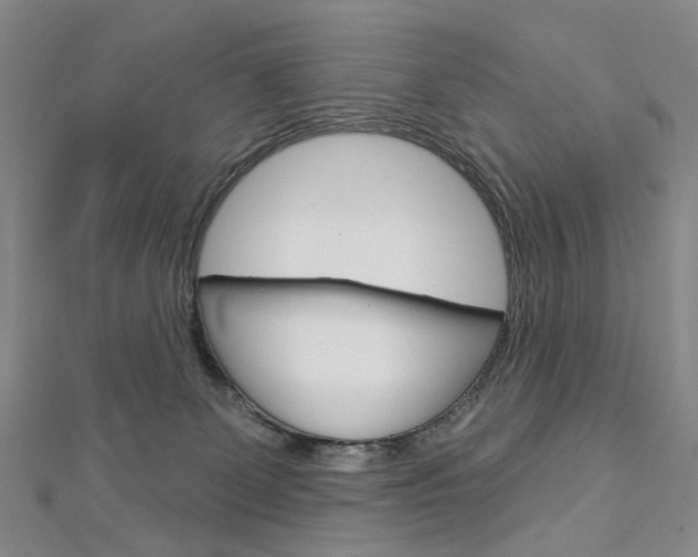 X0000113160131200909041001