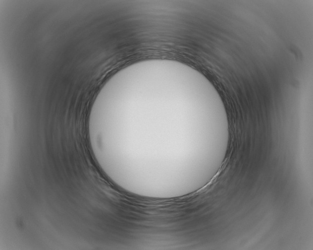 X0000113160132200909041001