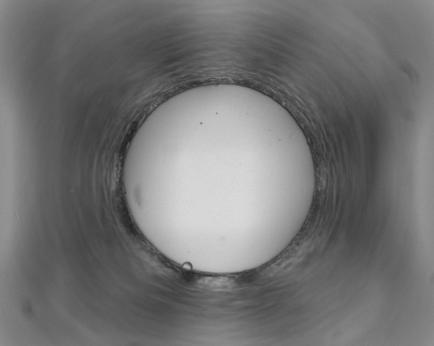 X0000113160133200909041001